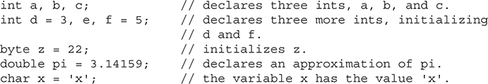 Declaring a Variable